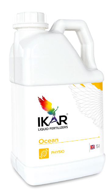 Ikar Ocean
