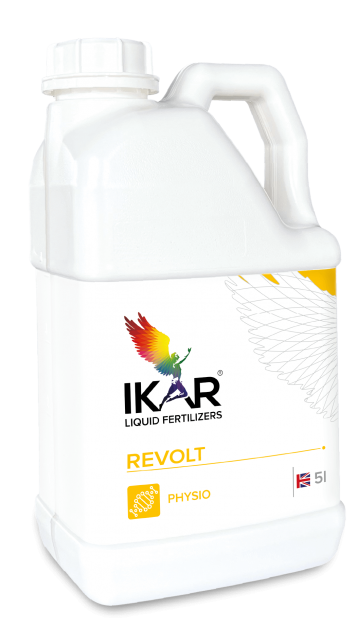 Ikar Revolt