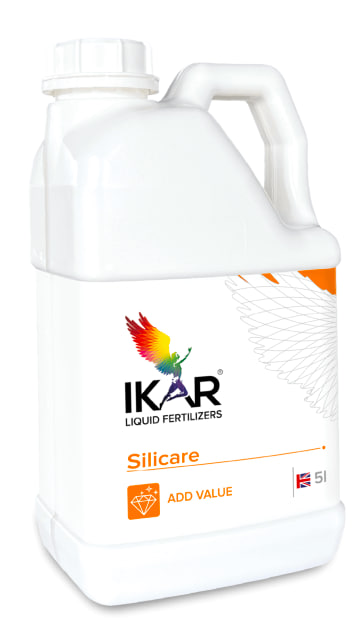 Ikar Silicare 
